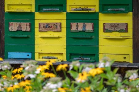 CEBELARJI (29 of 43)